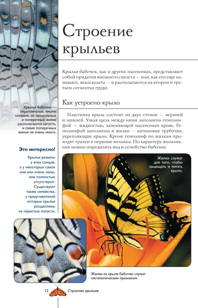 Taureņi. Ilustrēts ceļvedis